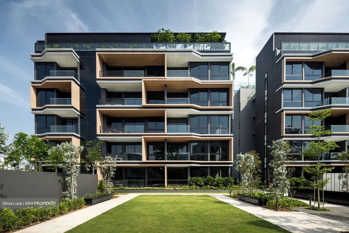 Peak Residence (D11), Condominium #529395421